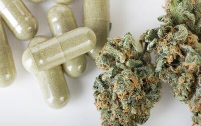 Can Cannabis Treat Epileptic Seizures?